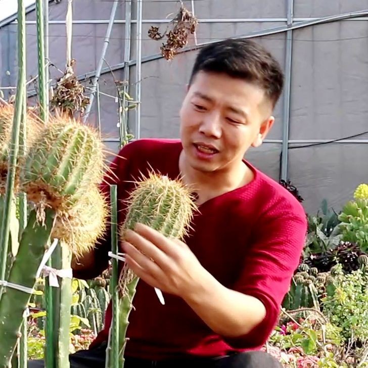 金鉆圖片大全：*《金鉆圖片大全》*海量高清視覺素材