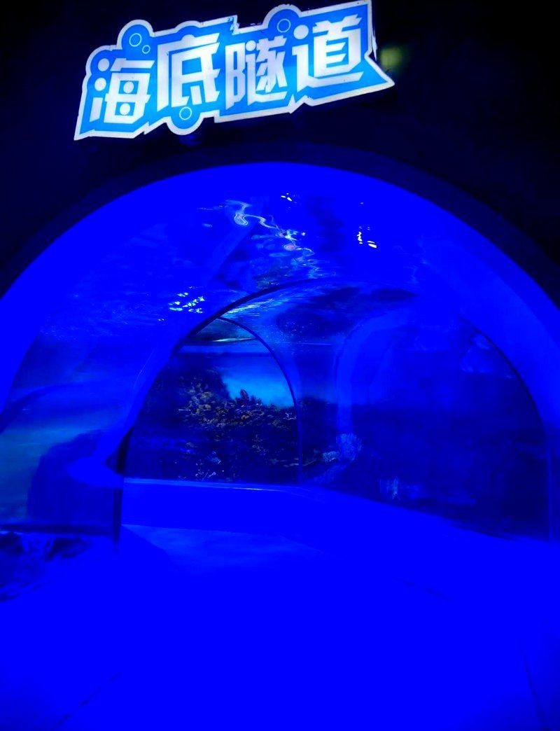 信陽(yáng)水族店:信陽(yáng)市浉河區(qū)鑫龍水族館 全國(guó)水族館企業(yè)名錄 第12張 信陽(yáng)水族店:信陽(yáng)市浉河區(qū)鑫龍水族館 信陽(yáng)水族店:信陽(yáng)市浉河區(qū)鑫龍水族館 全國(guó)水族館企業(yè)名錄 第12張