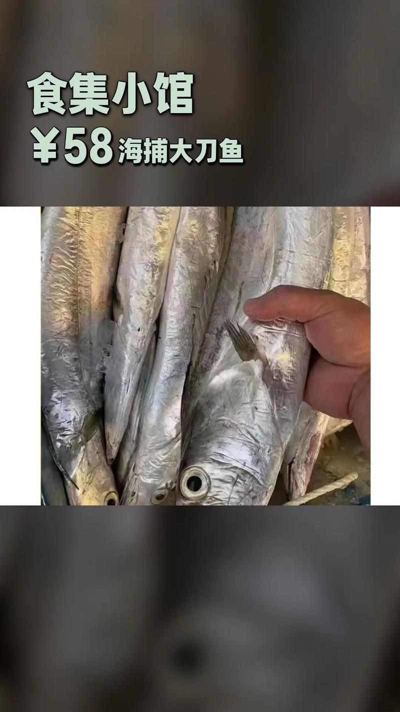 江刀和海刀圖片對比：“江刀”與“海刀”在形態特征上的顯著差異