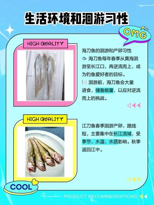 江刀和海刀圖片對比：“江刀”與“海刀”在形態特征上的顯著差異