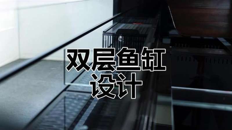 久鼎魚缸：*《久鼎魚缸：匠心打造水族藝術(shù)空間》