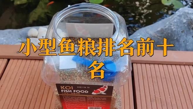 國產魚飼料哪個牌子好：國產魚飼料市場競爭日益激烈哪些公司榜上有名