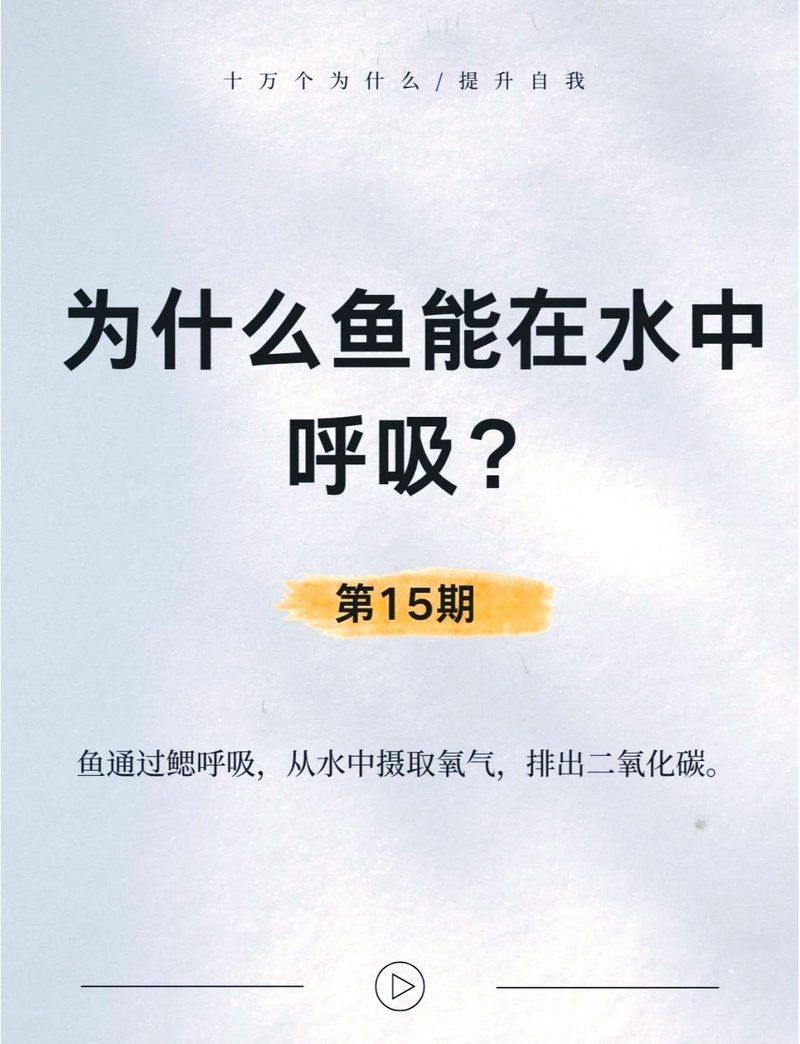 金魚用鰓呼吸嗎：如何判斷金魚的健康狀況