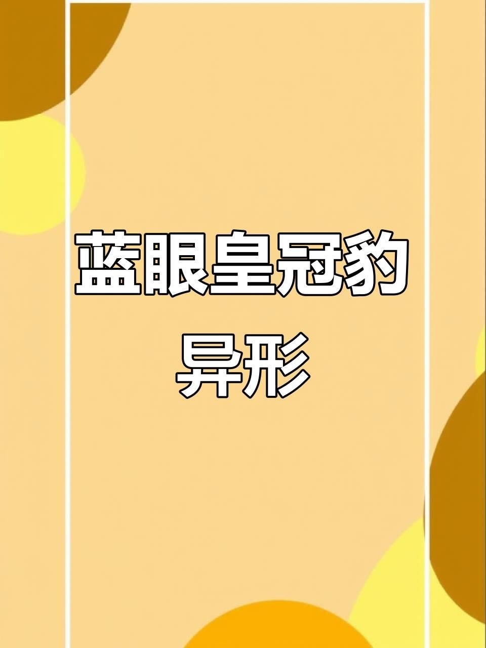皇冠豹異型魚品種大全:皇冠豹異型魚 龍魚論壇 第9張 皇冠豹異型魚品種大全:皇冠豹異型魚 皇冠豹異型魚品種大全:皇冠豹異型魚 龍魚論壇 第9張