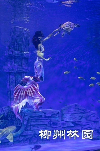 柳州水族館：《柳州水族館》每30秒切換色譜，柳州水族館*