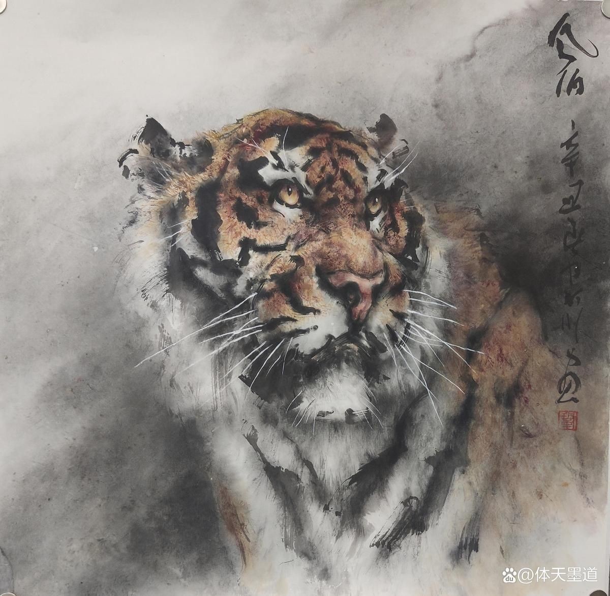 巨頦虎：巨頦虎的歷史歷程