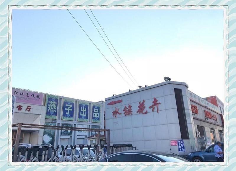 朝陽水族批發市場：北京朝陽水族批發市場