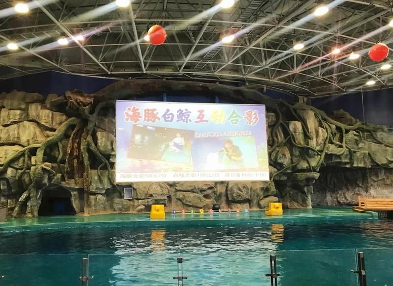 威海水族店：**《威海水族店：海洋世界的微型窗口》