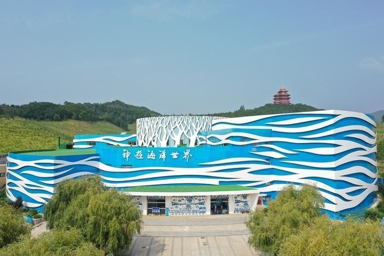 威海水族店：**《威海水族店：海洋世界的微型窗口》