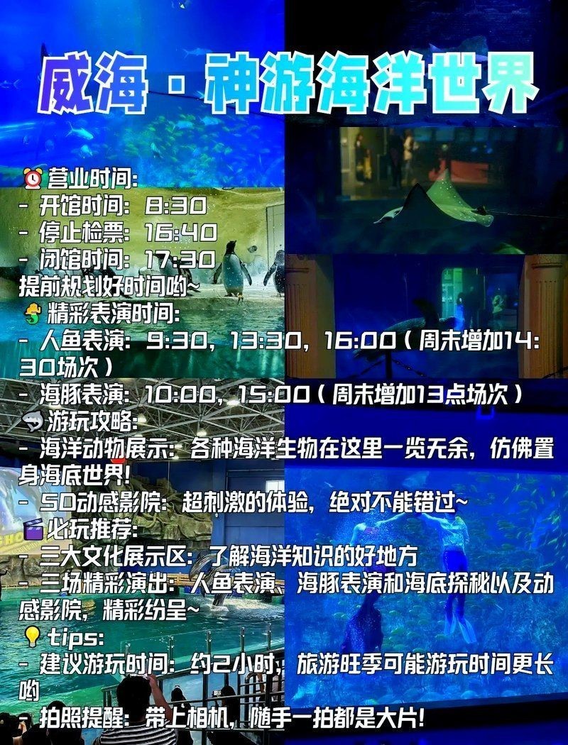 威海水族店：**《威海水族店：海洋世界的微型窗口》
