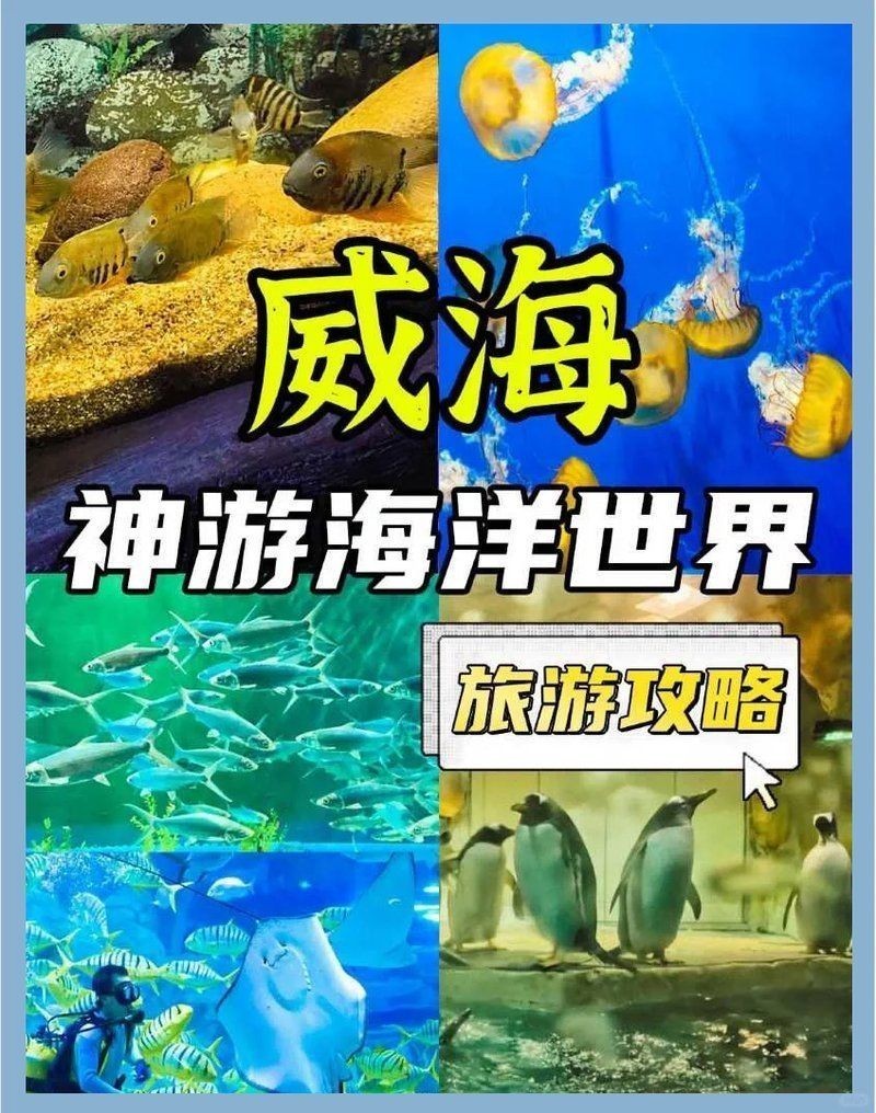 威海水族店：**《威海水族店：海洋世界的微型窗口》