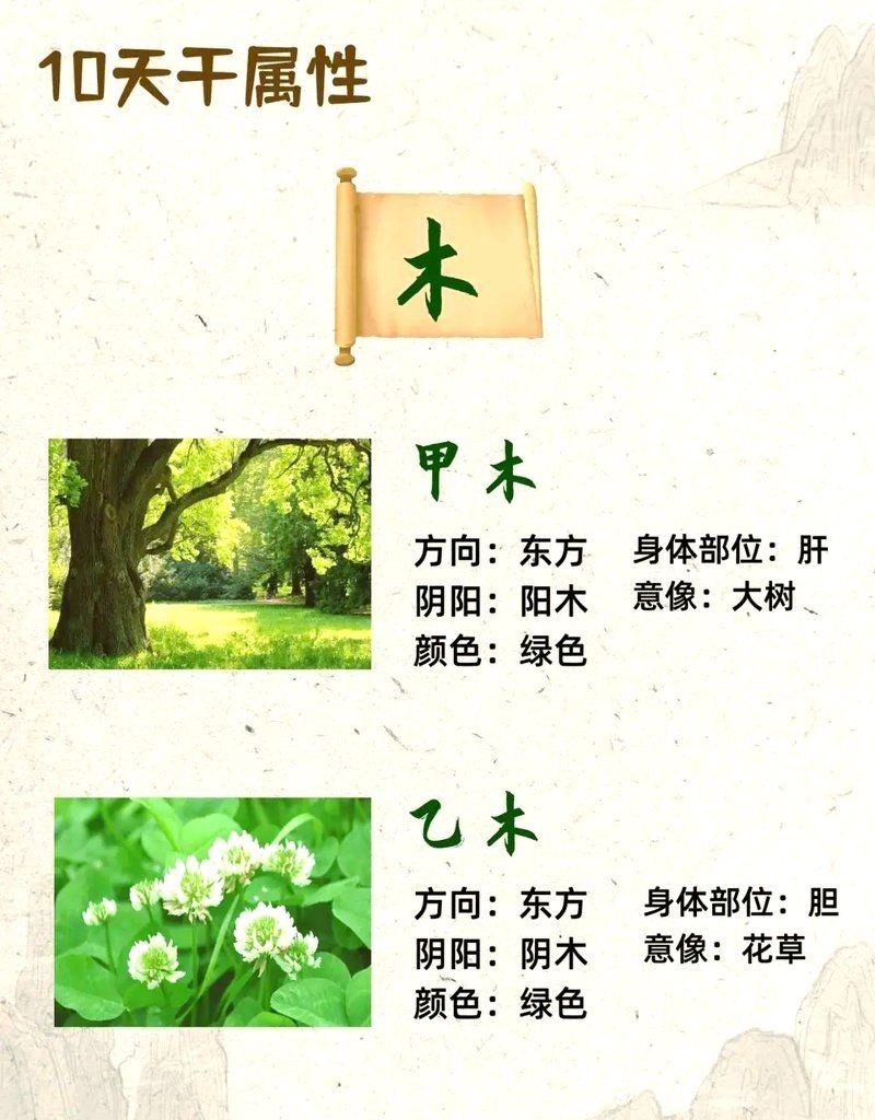 金木水火土風雨雷電十二元素：“金木水火土風雨雷電”十二元素融合了中國傳統(tǒng)五行思想與自然氣象意象