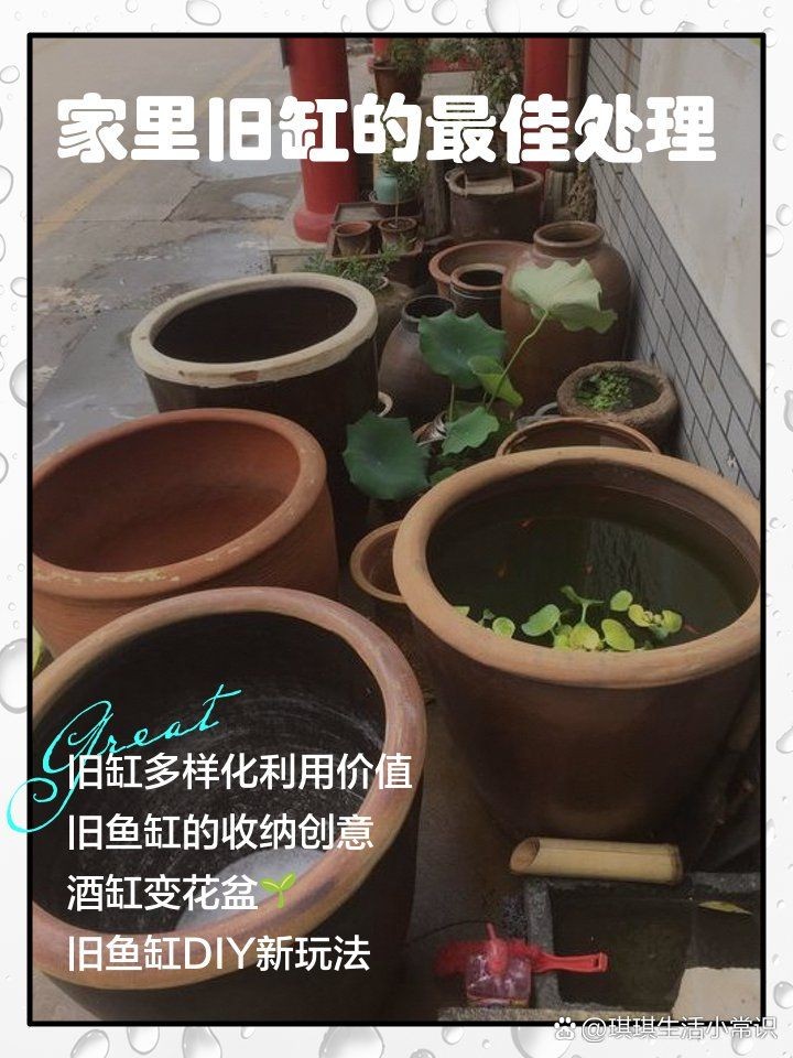 舊魚缸改造100種方法：《舊魚缸改造100種方法》模擬深海于將閑置或廢棄的魚缸