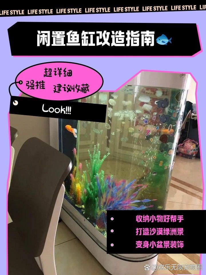 舊魚缸改造100種方法：《舊魚缸改造100種方法》模擬深海于將閑置或廢棄的魚缸