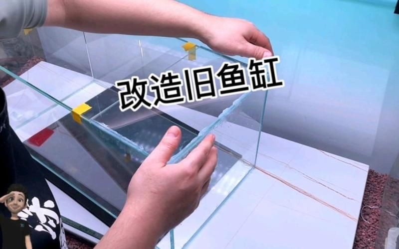 舊魚缸改造100種方法：《舊魚缸改造100種方法》模擬深海于將閑置或廢棄的魚缸