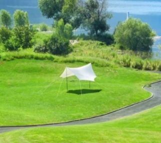 延邊朝鮮族自治州龍魚店：吉林延邊朝鮮族自治州龍魚店