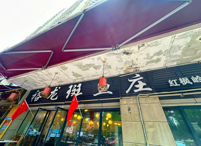 成都龍魚店：成都龍魚店開個龍魚店需要多少錢創業機遇等你抓