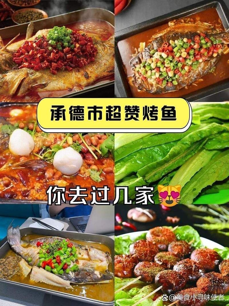 承德龍魚店：承德地區烤魚店綜合推薦與探店指南