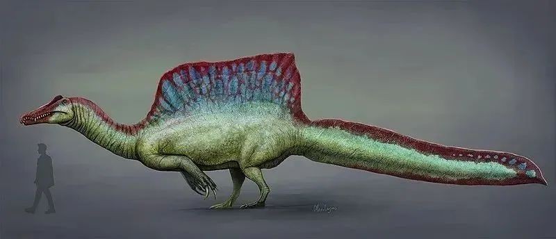 棘龍誰更厲害：《當代生物學》棘龍與霸王龍的巔峰對決，霸王龍與霸王龍