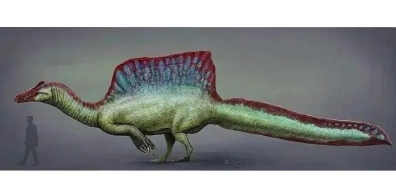 棘龍誰更厲害：《當代生物學》棘龍與霸王龍的巔峰對決，霸王龍與霸王龍