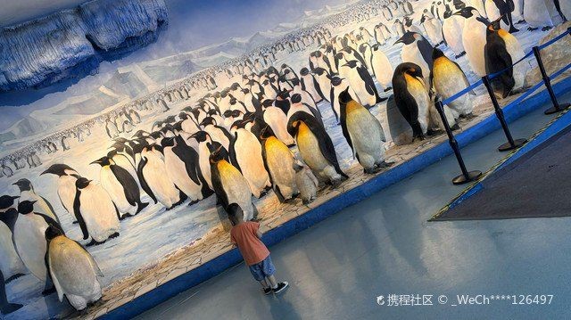 寶雞水族館：*《寶雞水族館》*攜程攻略及注意事項