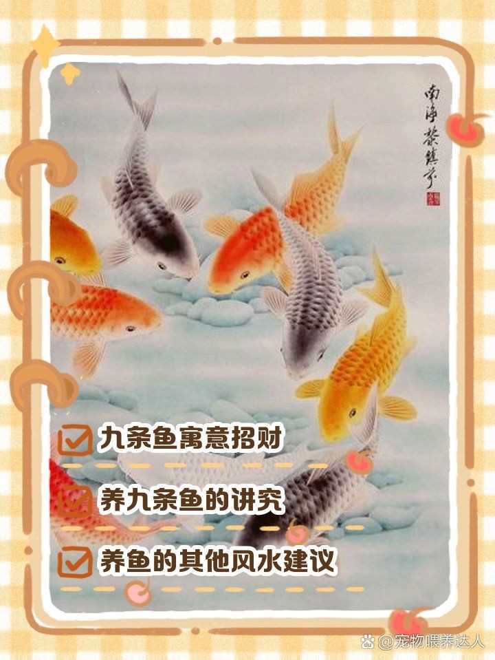 九條魚最建議買的顏色：九條魚的顏色選擇