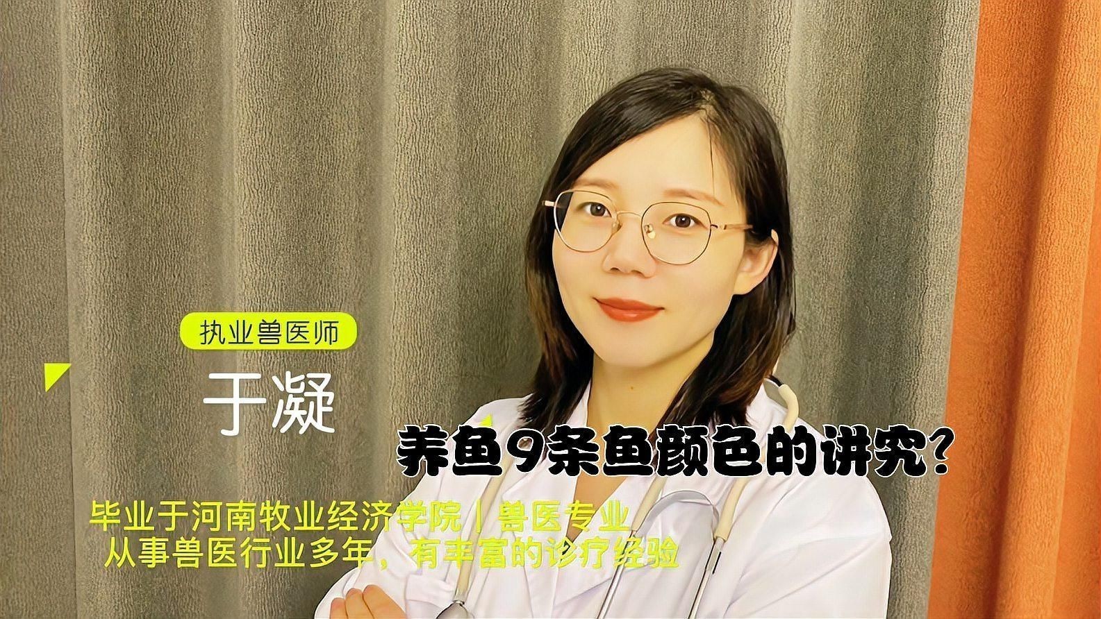 九條魚最建議買的顏色：九條魚的顏色選擇