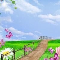 廣東埃及魚最不值錢三個地方：埃及塘鲺在廣東的價格低迷