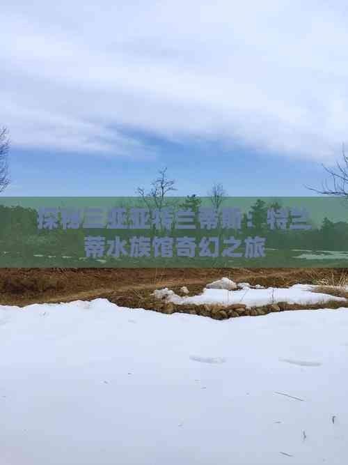 三亞水族店：*《三亞水族店》*，三亞水族館