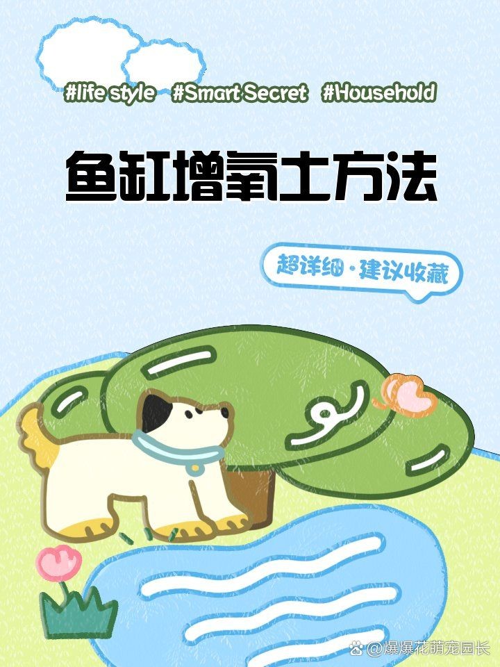 家里養鯰魚給氧氣嗎：家庭養殖鯰魚養殖鯰魚需求特殊情況下