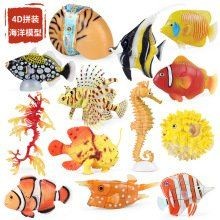 皇冠三間魚的價格：皇冠三間魚市場價值較高的熱帶淡水魚市場價格受多重因素影響