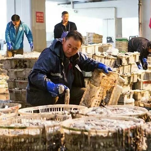 宿州水族批發市場：宿州市埇橋區花鳥市場本草缸木水族館名錄集 宿州水族批發市場：宿州市埇橋區花鳥市場本草缸木水族館名錄集 全國水族館企業名錄 第10張