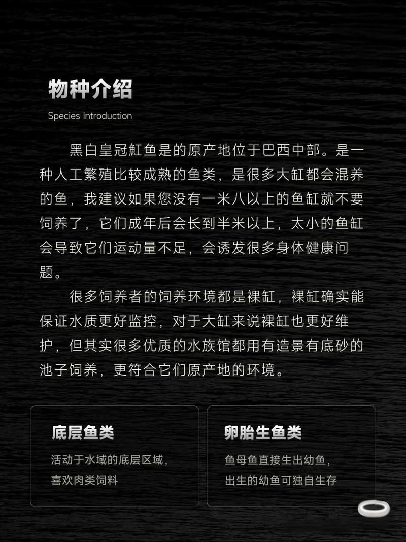 皇冠魟魚一胎生小魚詳細說明圖解：關于皇冠魟魚繁殖的詳細說明
