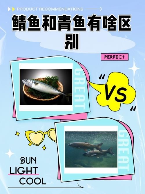 懷孕的魟魚和正常魟魚圖片對比：如何辨別懷孕魟魚是否懷孕