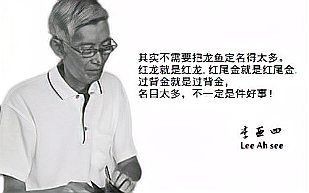 李亞四古典過背金龍魚：“李亞四古典過背金龍魚”