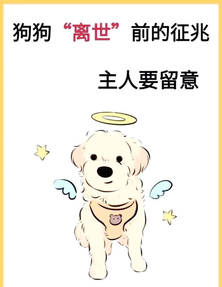 狗頭魚要死的前兆：養魚老道，狗狗臨終前的五個征兆，主人必看，寂寞行者過客自成畫卷