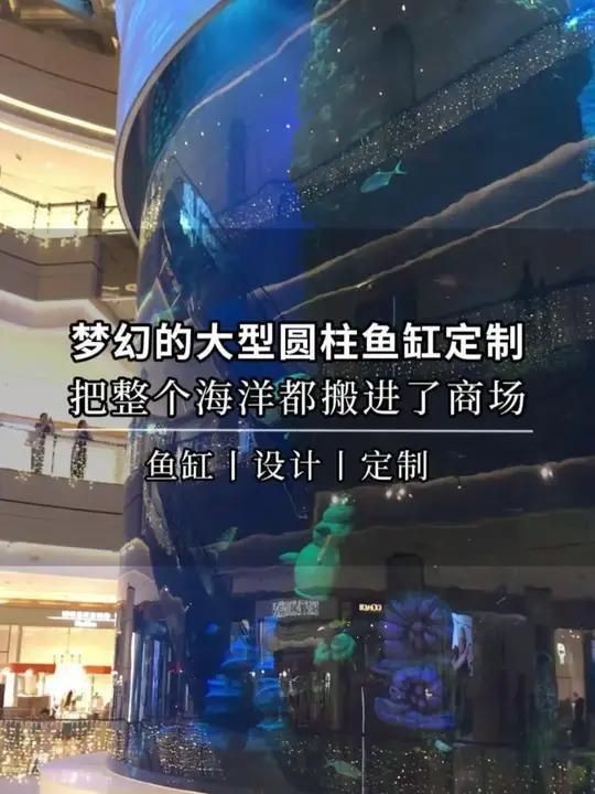 拉薩魚缸定做：拉薩壓克力魚缸報價圖片