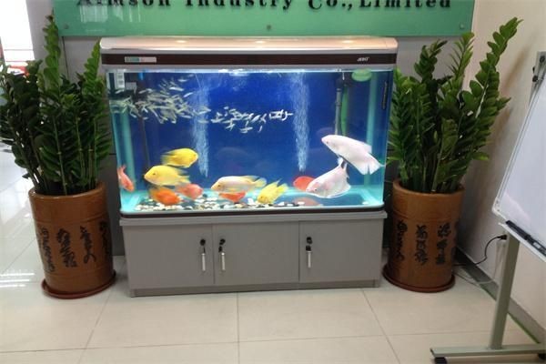 久鼎魚缸還在生產嗎：“久鼎魚缸是否仍在生產”，久鼎魚缸生產狀態需進一步驗證