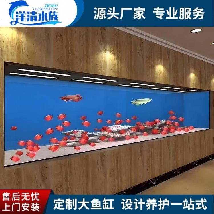 朝陽(yáng)魚(yú)缸定做：朝陽(yáng)地區(qū)魚(yú)缸定做