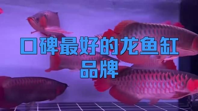 中國十大龍魚品牌：2018中國十大龍魚品牌排行榜