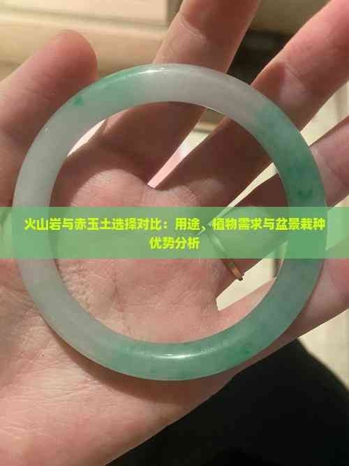龍魚眼白霧的治療費用大概是多少？，魚眼白霧的治療費用是多少？