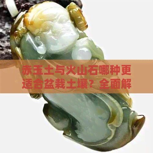 火山石可以代替赤玉土嗎：火山石與赤玉土的區別