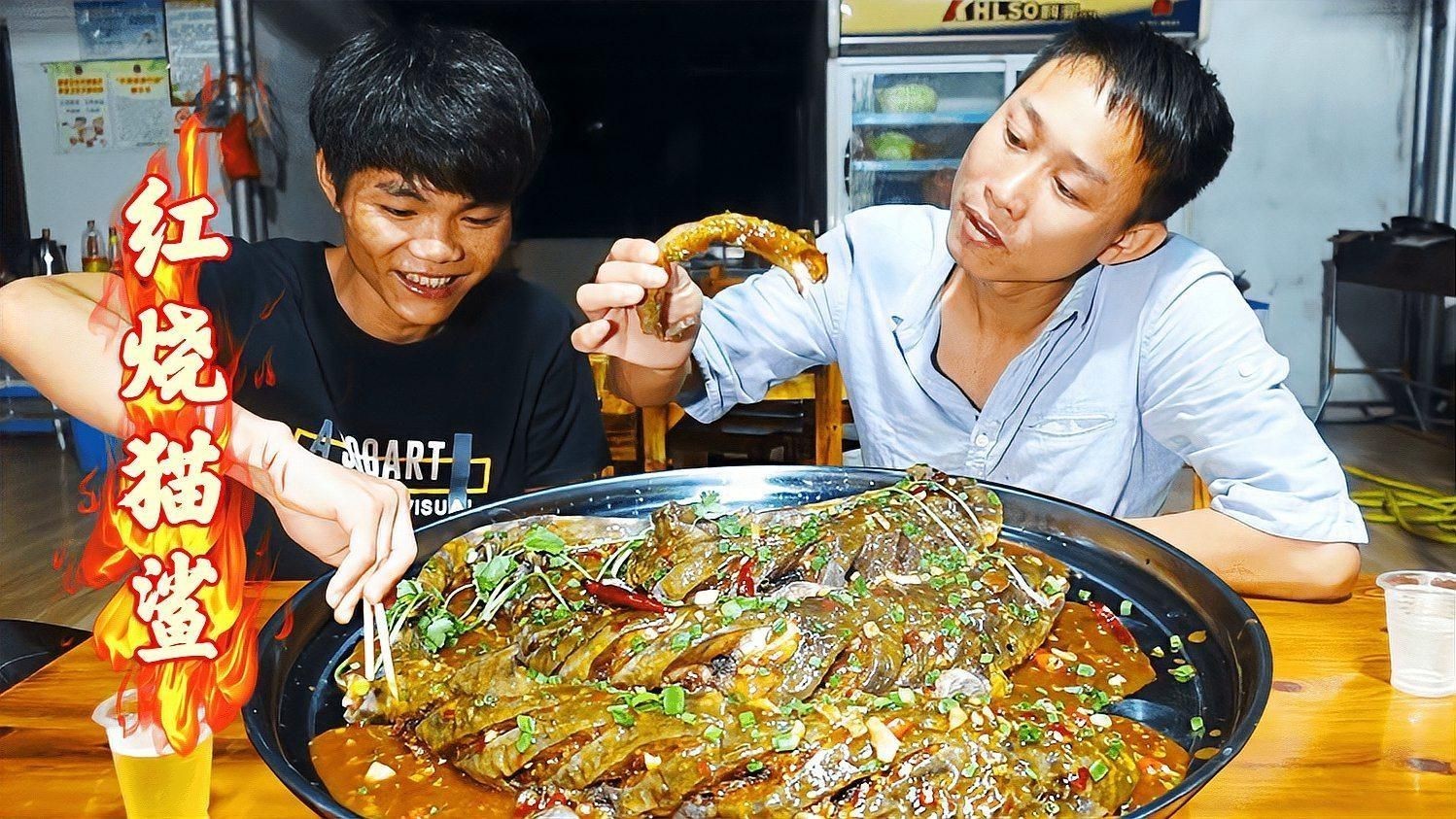 貓鯊：貓鯊是一類體型嬌小、性情溫順的軟骨魚類