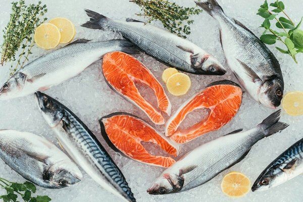 皇家火箭魚戴久了會得白血病嗎：皇家火箭魚戴久了會得白血病醫生緊急提醒:選購時別忽視