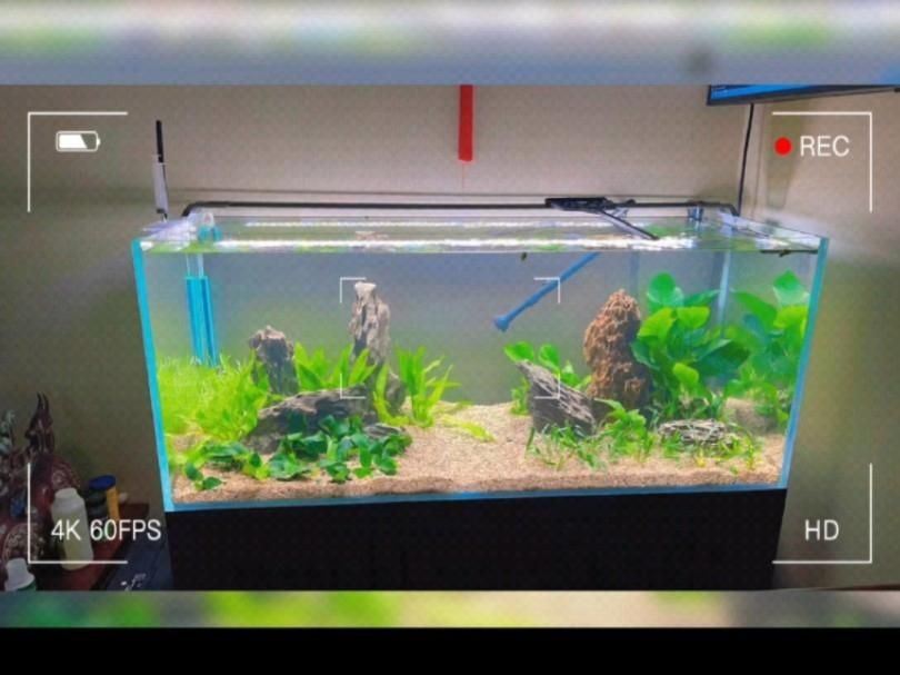 上門定做魚缸：上門定做魚缸服務應運而生南京3.5米大型魚缸項目記實