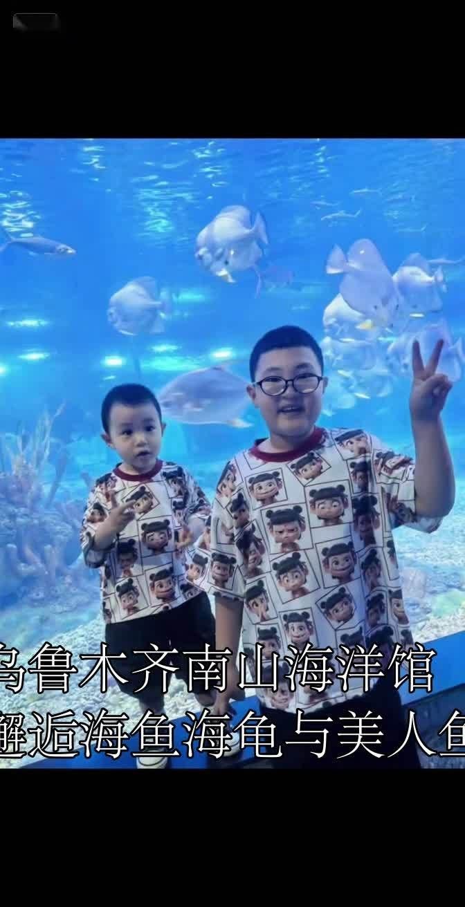 烏魯木齊水族店：烏魯木齊水族店怎么樣