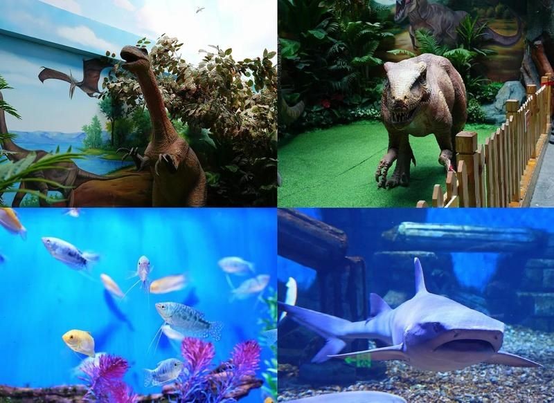 烏魯木齊水族店：烏魯木齊水族店怎么樣