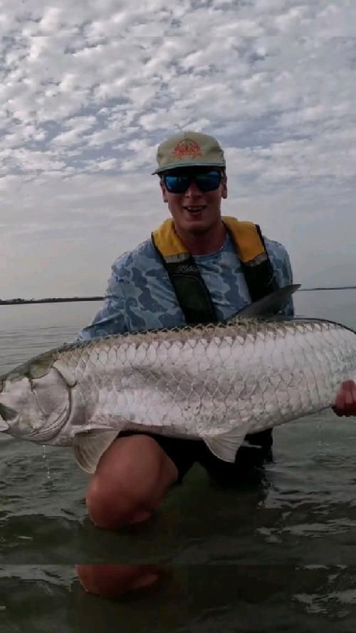 海鰱魚圖片大全：**《海鰱魚圖片大全》