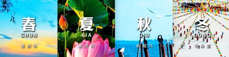 松原龍魚店：*《松原龍魚店》*《松原龍魚店》