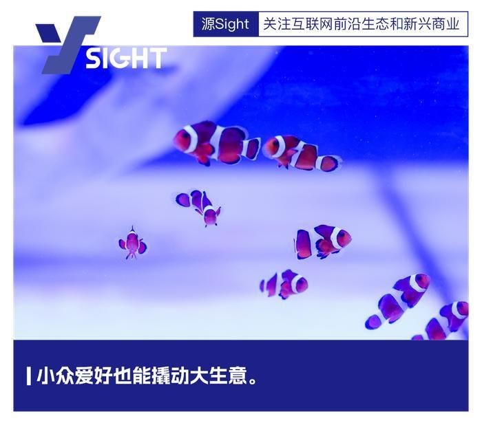 株洲龍魚店：城*《株洲龍魚店》*《株洲龍魚店》